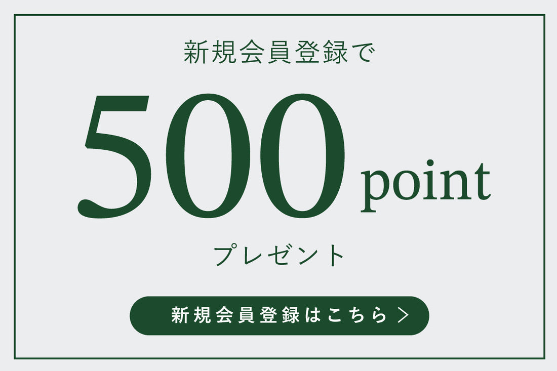 新規会員登録で500ポイントプレゼント！