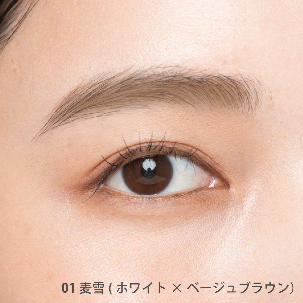 アルチザン ブロウ パウダー