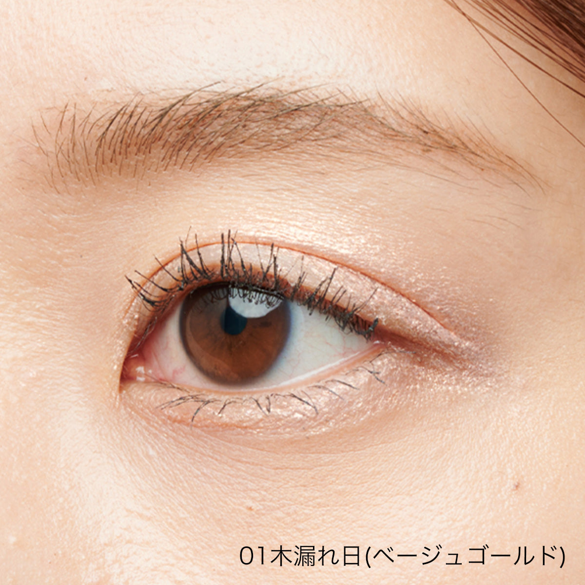 AINOKI ホリデーキット 2025