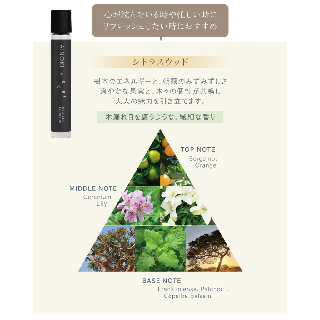 A I N O K I × s o e l anniversary キット