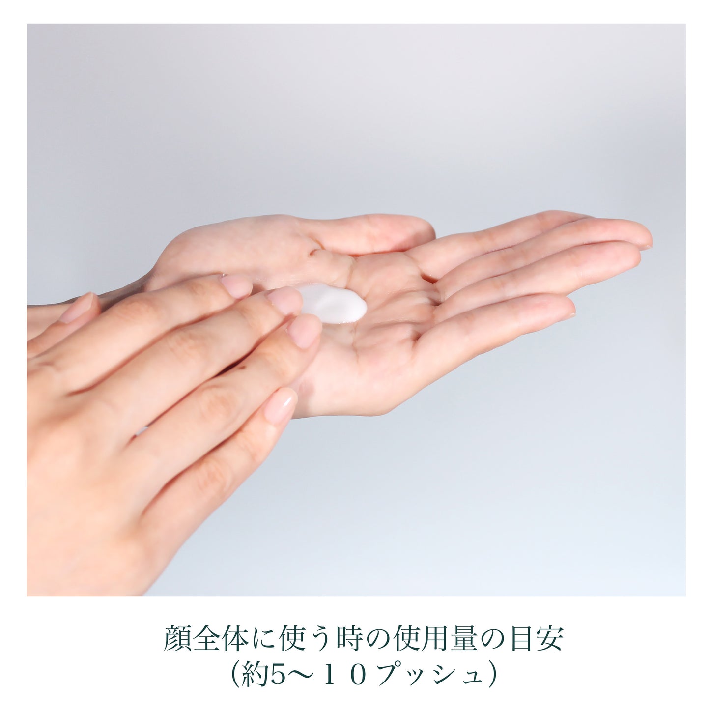 フォレスト フィール クレンジング ミルク