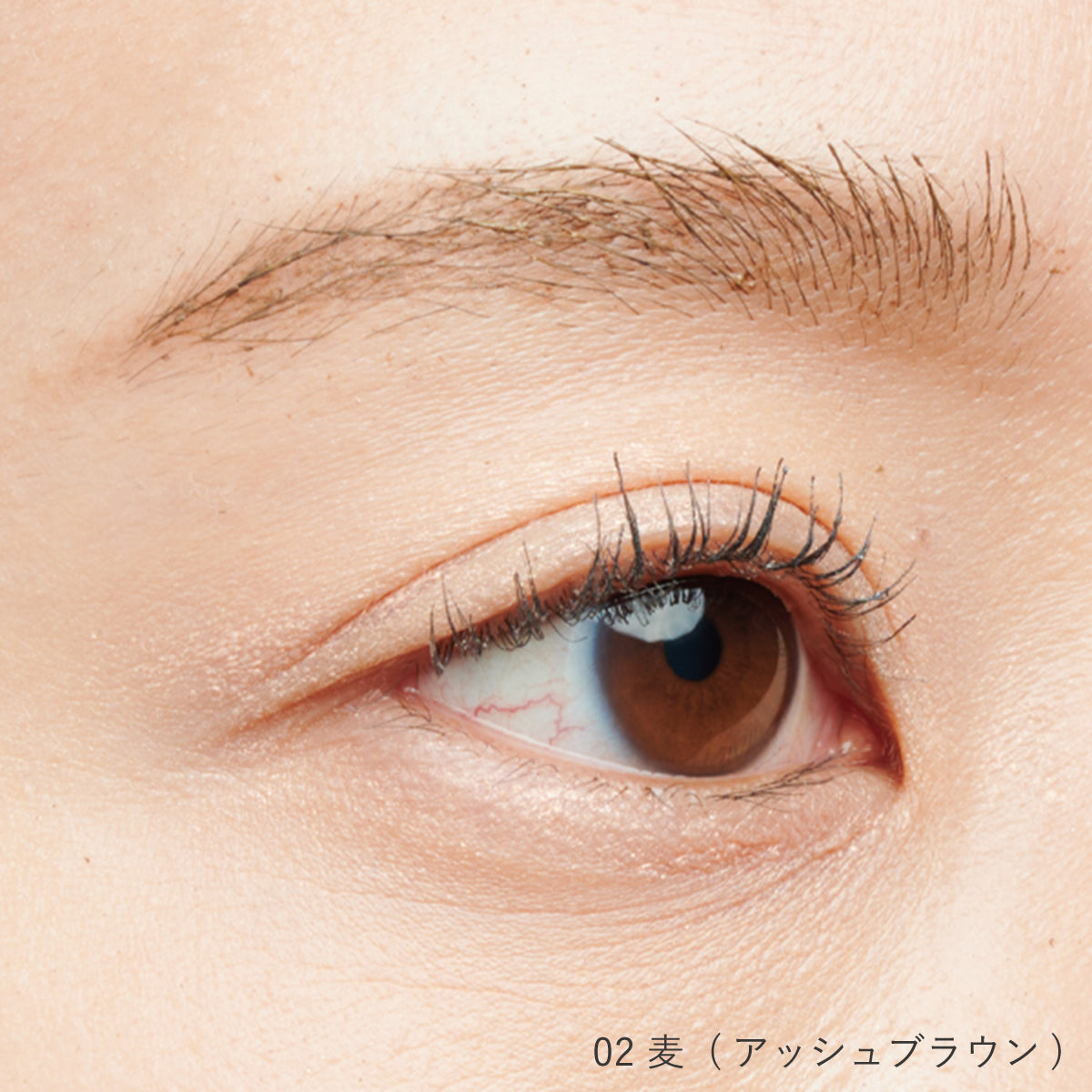 フォレスト フィール アイブロウ フィクサー