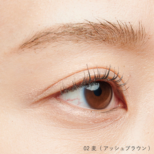 フォレスト フィール アイブロウ フィクサー