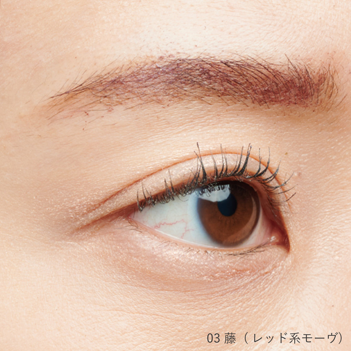 フォレスト フィール アイブロウ フィクサー