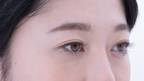 フォレスト フィール パウダー アイズ