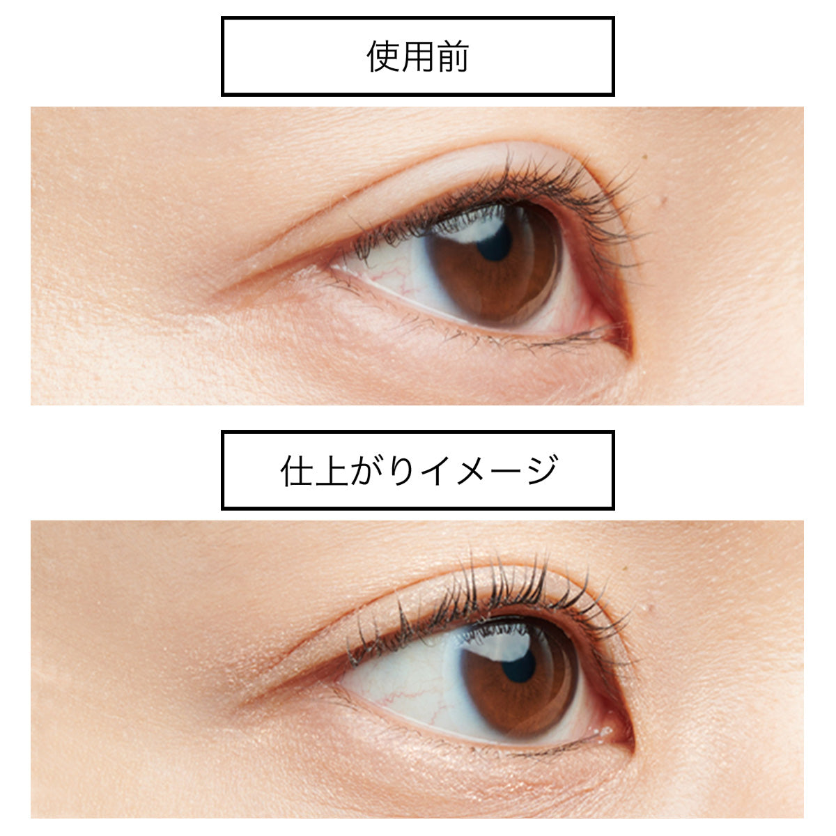 フォレスト フィール セイバー マスカラベース